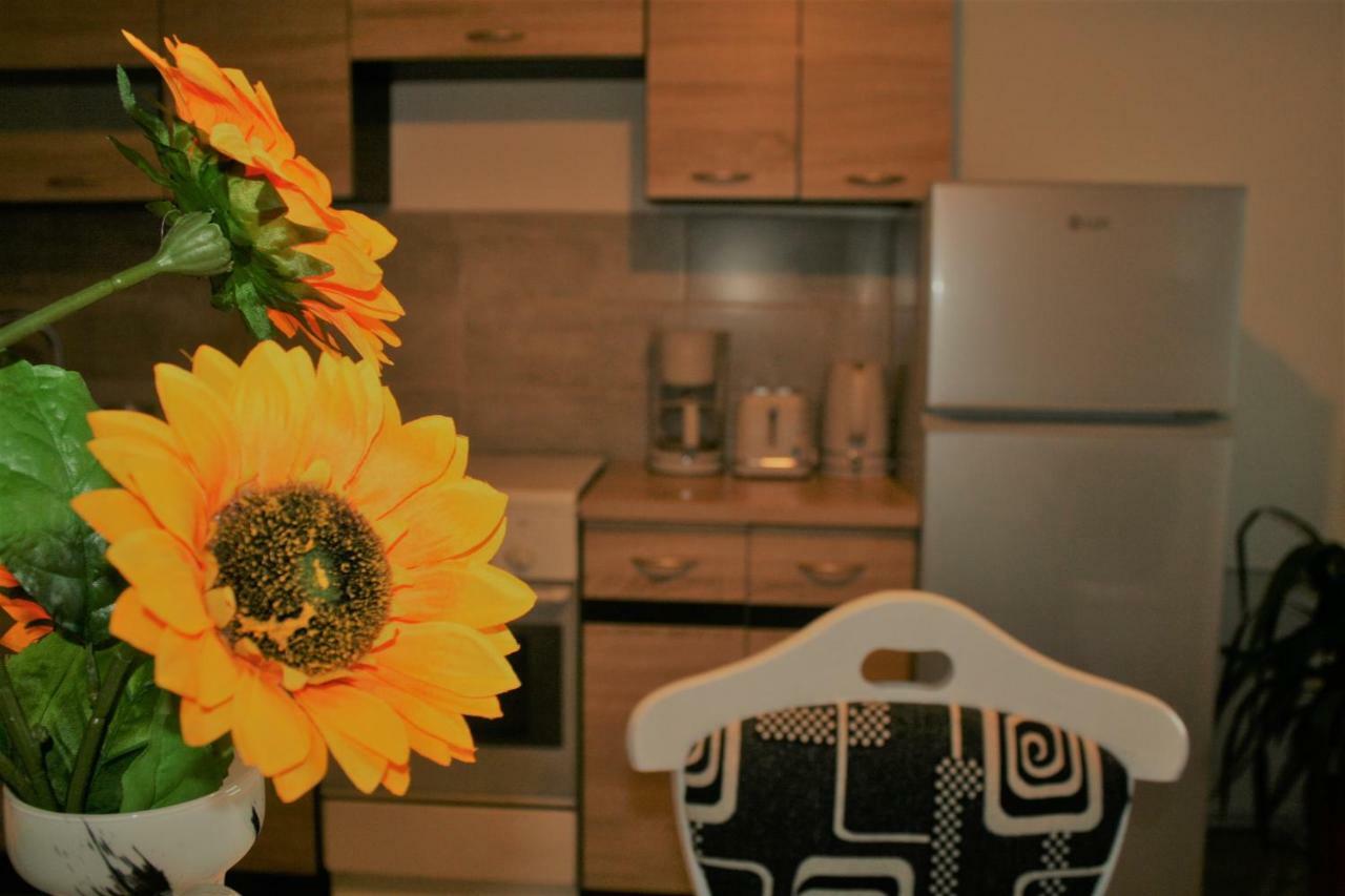 Casa Peterfi - Apartment With 3 Bedrooms And Spacious Living Room Тыргу-Муреш Экстерьер фото